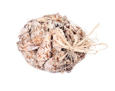 Yarasa kıvrım deniz kabuğu dekoratif çanta