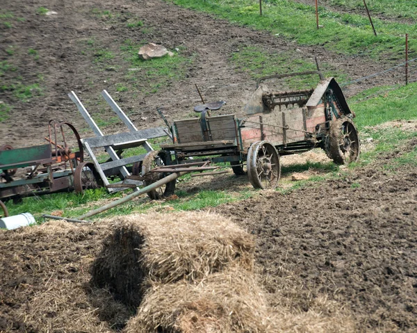 Amish granja caballo dibujado equipo — Foto de Stock