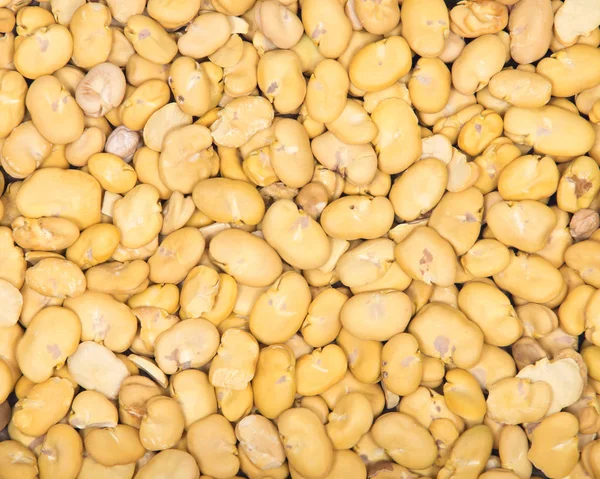 Organik Kuru geniş haba fasulye 