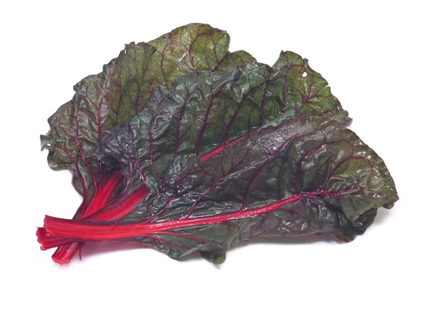 Red organic swiss chard — Stock Photo, Image