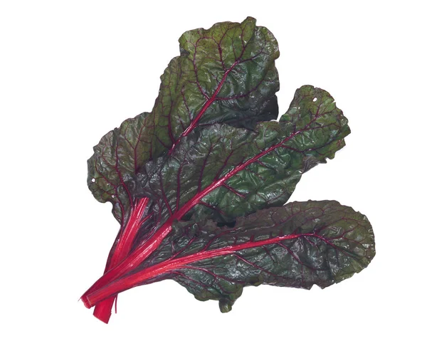 Red organic swiss chard — Stock Photo, Image