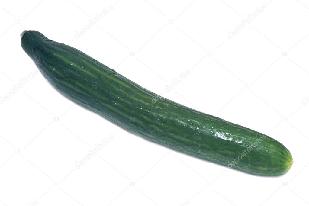 Long fresh english cucumber from greenhouse