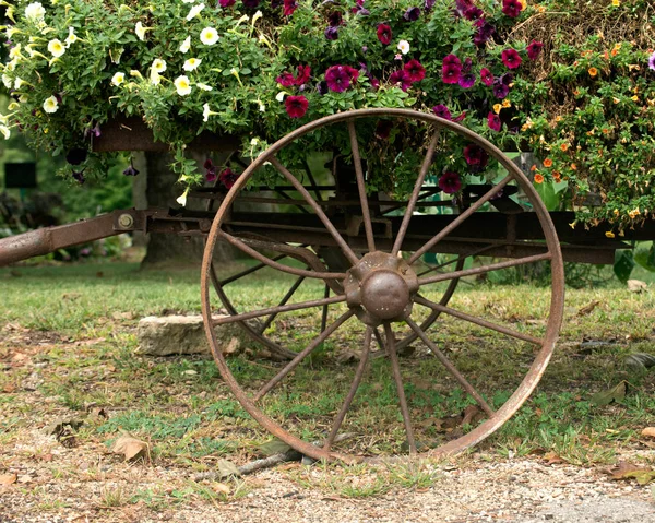 Vecchia ruota rustica vintage e fiori — Foto Stock