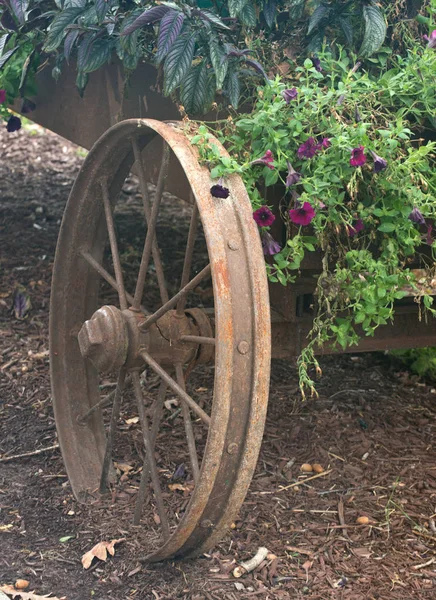 Oude rustieke vintage wiel en bloemen — Stockfoto