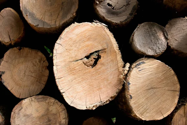 Yığın, ahşap günlükleri kazık