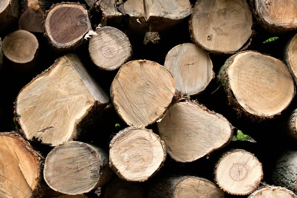 Yığın, ahşap günlükleri kazık