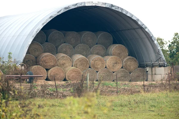 Processen för skörd, staplade höbalar — Stockfoto