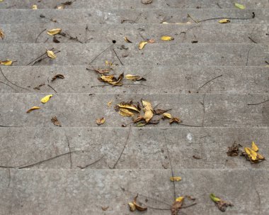 Beton merdiven, merdiven, merdiven