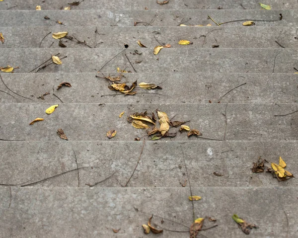 Beton merdiven, merdiven, merdiven