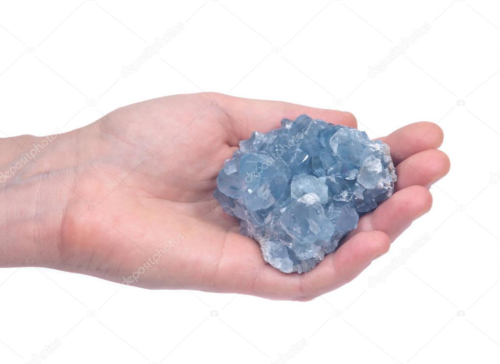 Woman's hand holding blue celestite cluster