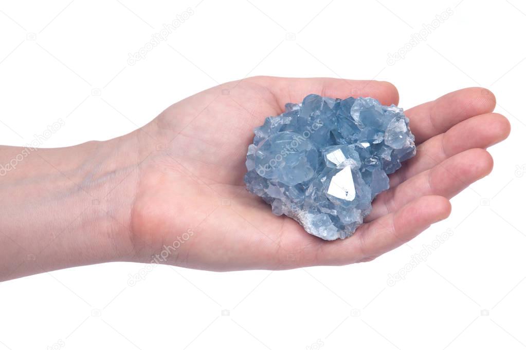 Woman's hand holding blue celestite cluster