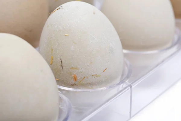 Huevos Gallina Criados Sin Gmo Pasto Soja Orgánicos Frescos Sin —  Fotos de Stock