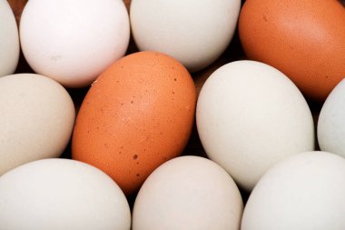 Yıkanmamış taze organik GDO ve soya ücretsiz arka plan sanat gibi ahşap kase yükseltilmiş tavuk yumurtası çayıra