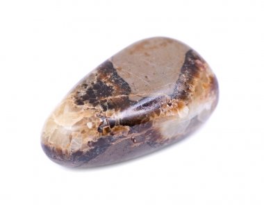 Son derece parlak beyaz arka plan üzerinde izole Hindistan'dan eskitme Septarian 