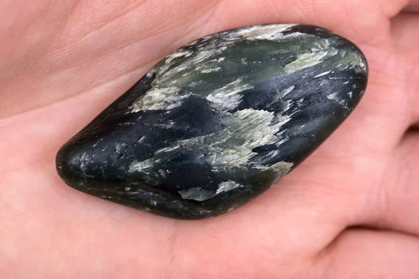Bowenite 小棕榈石 被称为毛利绿岩 是新西兰岩的一种形式 — 图库照片