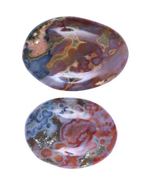 Cilalı ocean jasper palm taşlar beyaz arka plan üzerinde izole Madagaskar gelen