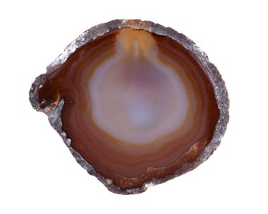 Beyaz arka plan üzerinde izole cilalı çok renkli akik dilim