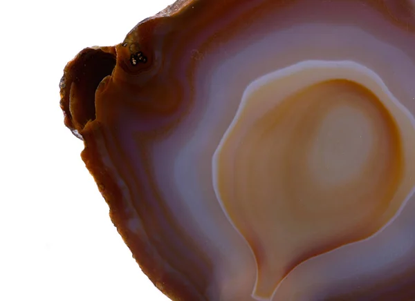 Polierte Mehrfarbige Achatscheibe Isoliert Auf Weißem Hintergrund — Stockfoto