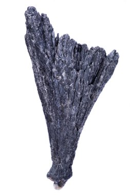 Beyaz arka plan üzerinde izole Brezilya'dan iyi tanımlanmış siyah kıyanit fan 