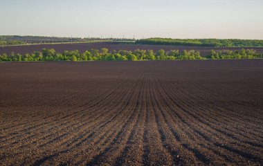 bir alan bahar sürülmüş topraklarda