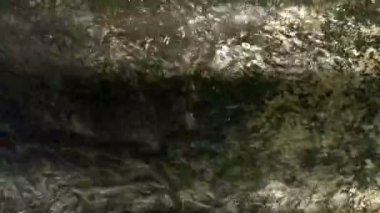 Temiz su boyunca fışkıran ve eski Yarıntısı
