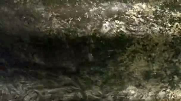 Sauberes Wasser sprudelt vorbei und alte Rinne — Stockvideo