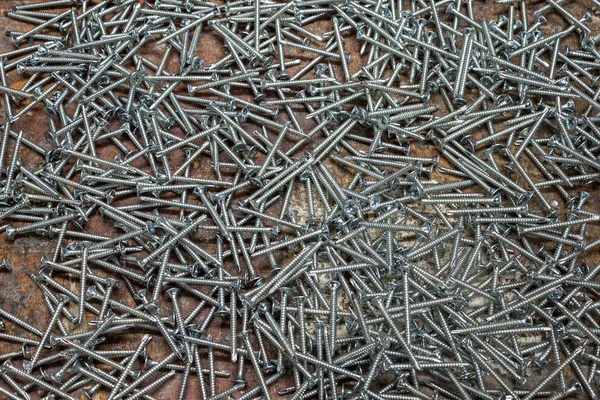 Cross head screws spread out on a workbench — 스톡 사진