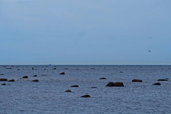 Il Mar Baltico . — Foto Stock