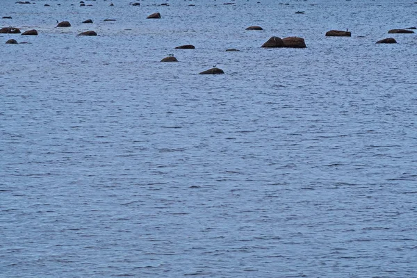 Le pietre nel mare. — Foto Stock