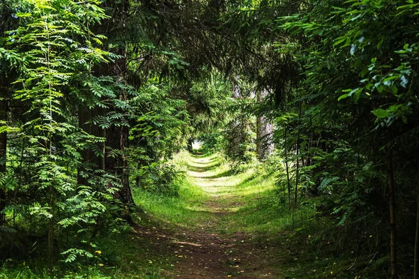 Rusya, Leningrad oblast, asil bir konak