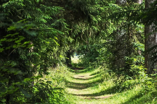 Rusya, Leningrad oblast, asil bir konak