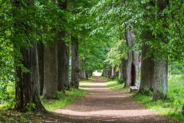 Rusya, Leningrad oblast, asil bir konak