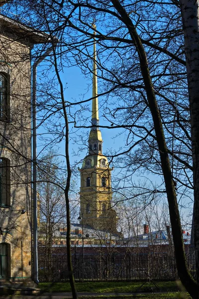 Blick Vom Park Auf Die Peter Und Paulskirche — Stockfoto