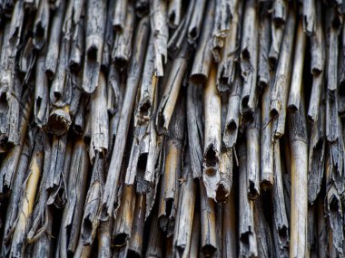 Eski saman güneşte solmuş çatıya malzeme olarak..