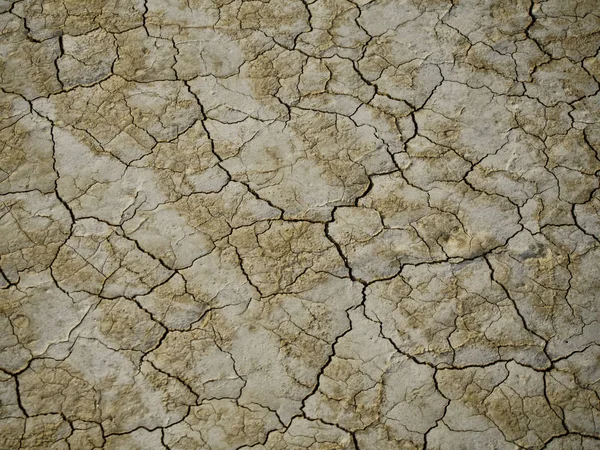 Cracked thin layer of earth in the hot steppes of Kazakhstan.