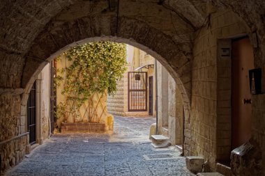 İtalyan şehrinin eski bölgesinin kemerinde beyaz çiçekler.