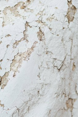 doku kadar yakın heykel yontma soyulması boya kaplı, beyaz