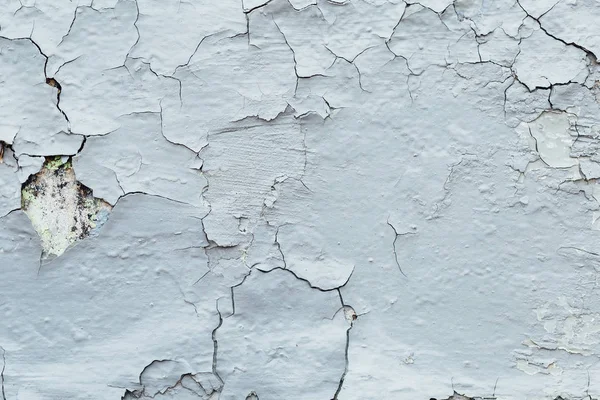 Texture Close Up di vernice peeling blu scheggiato, coperto di cru — Foto Stock