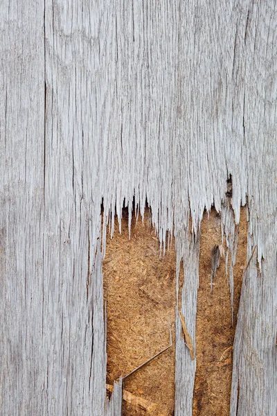 Ancienne texture naturelle en bois, gâtée — Photo