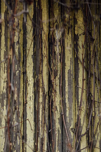 Struttura doghe di legno, parete delle rotaie. Close Up Chipped blu — Foto Stock