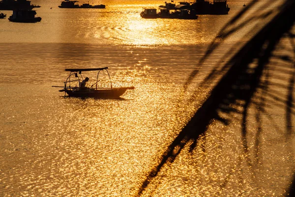 Bateaux de pêche asiatiques au coucher du soleil sur un fond de montagnes. Palmier — Photo