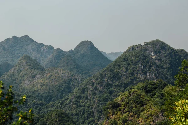 Het prachtige landschap, de bergen in het forest van de jungle en — Stockfoto