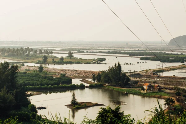 Flooded rice fields, wires and buildings, palm trees — Stock Photo, Image