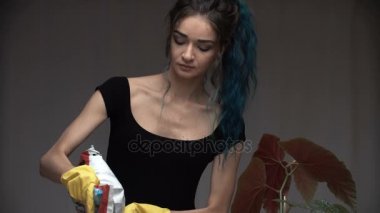 Boyalı mavi saçlı güzel şirin kız dikkatle Oda tencerelerde bitkilerde nakli. Begonya