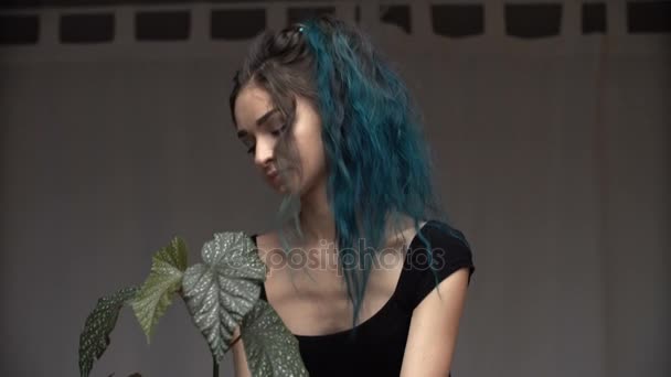 Krásná roztomilá dívka s barvenou modré vlasy pečlivě transplantaci rostlin v květináčích v pokoji. Begonia — Stock video