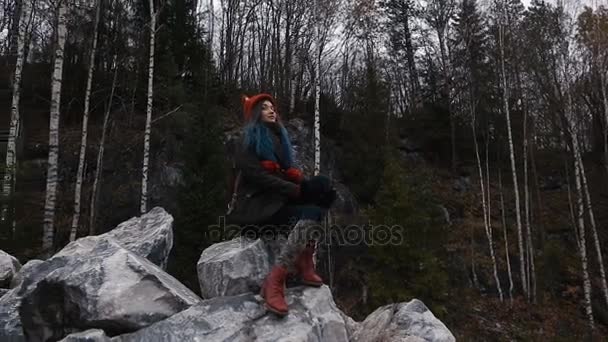 アーティストの女の子が、崖の岩の上に座って絵メモ帳。素晴らしい秋のビュー — ストック動画