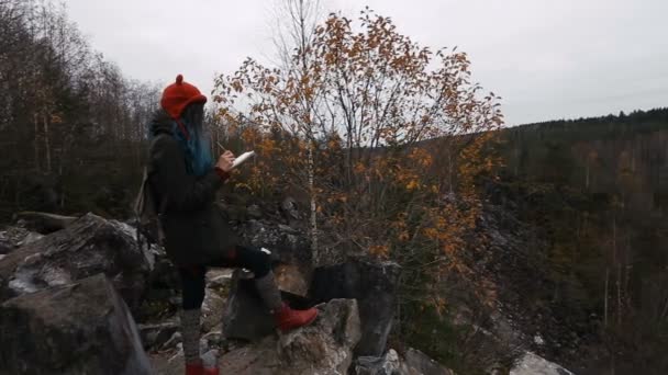 Artist girl painting sitting on the rocks at the cliff, notepad. Wonderful fall view — Stock Video