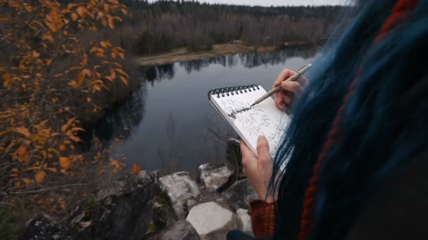Seniman gadis melukis duduk di batu di tebing, notepad. Indah jatuh tampilan — Stok Video