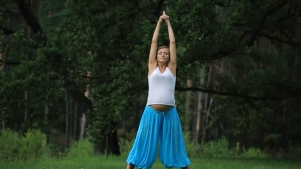 Беременная йога предродовое материнство делать различные упражнения. в парке на траве, дыхание, растяжка, статика . — стоковое видео