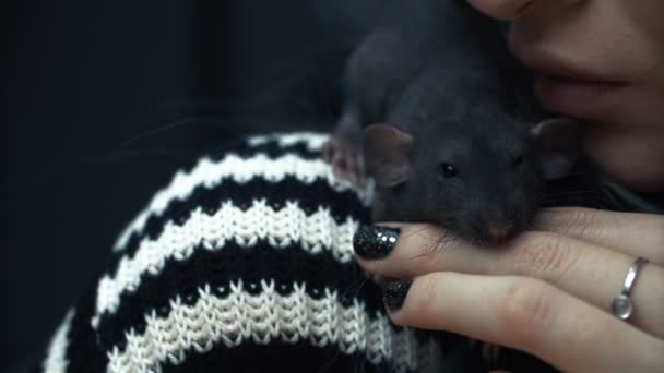 Mooi lief meisje houdt een hand een klein huisdier thuis weinig bruin muis close-up. Ze aaien haar kussen en glimlacht. Jonge vrouw met pet rat. — Stockvideo